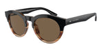 600673 - Black/Striped Brown / Brown