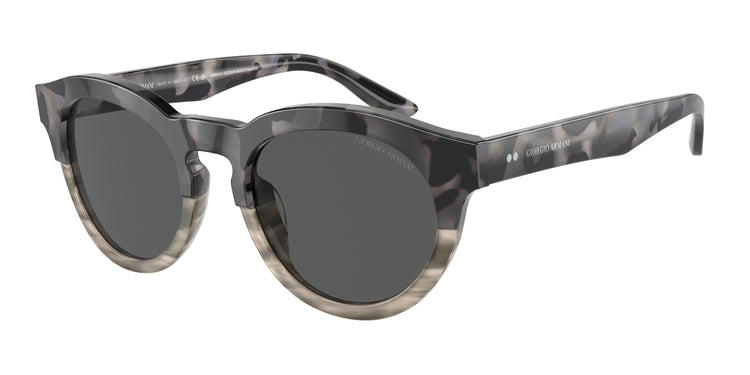 Giorgio Armani Sunglasses 0AR8189U 600987 51