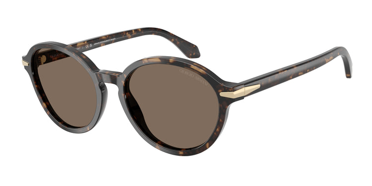 623573 - Havana Beige / Brown