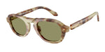 629914 - Brown Mint Tortoise / Green