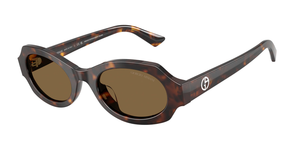587973 - Havana / Brown