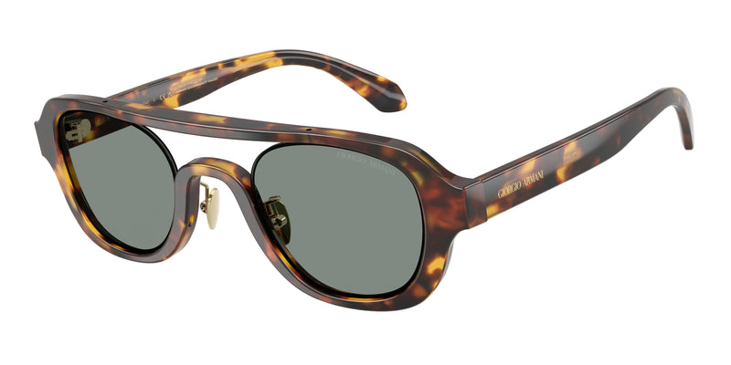 6331/1 - Brown Tortoise / Grey
