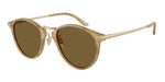 630073 - Beige Havana / Dark Brown