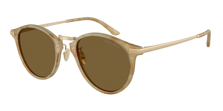 630073 - Beige Havana / Dark Brown