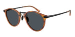 6404R5 - Brown Turtle / Blue