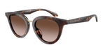 612413 - Havana / Brown Gradient