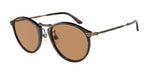 502653 - Havana / Brown