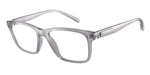 8239 - Shiny Transparent Grey / Demo Lens