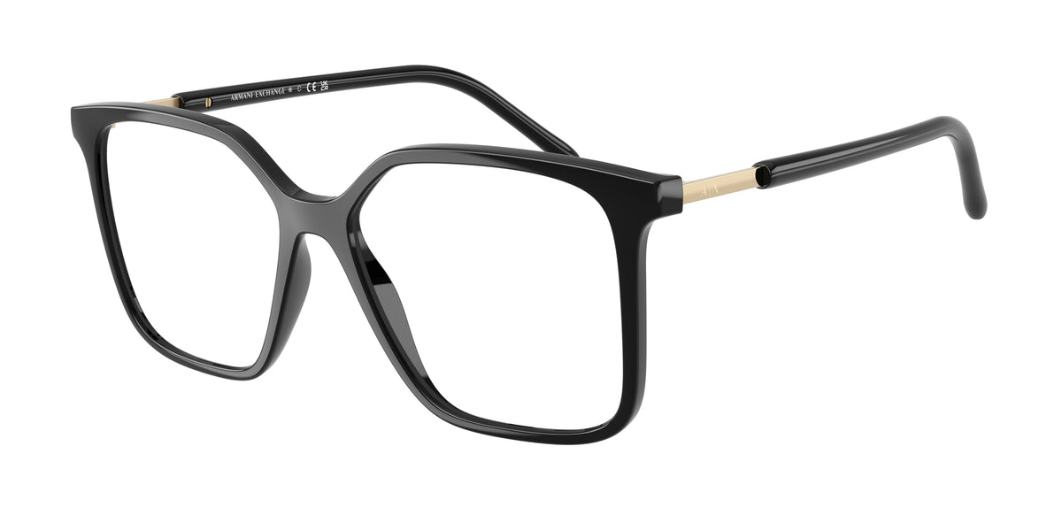 8178 - Shiny Black / Demo Lens