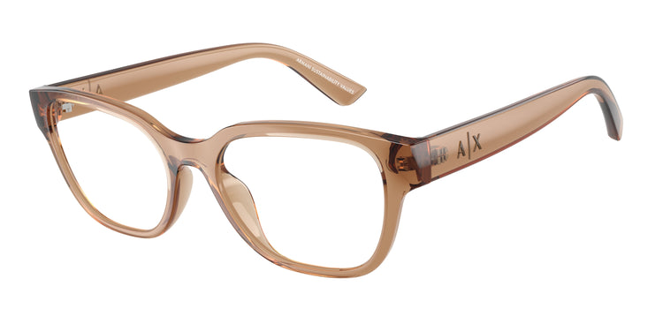 8396 - Shiny Transparent Brown / Demo Lens