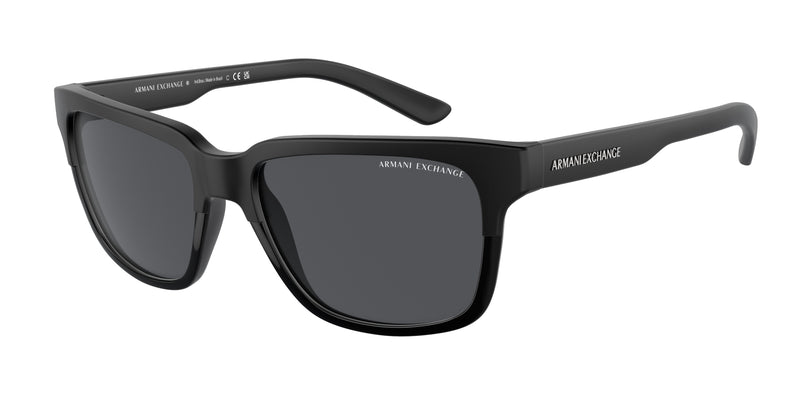 812287 - Matte & Shiny Black / Grey