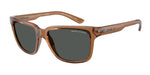 835887 - Shiny Transparent Brown / Dark Grey