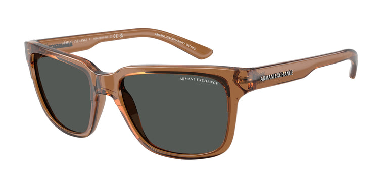 835887 - Shiny Transparent Brown / Dark Grey