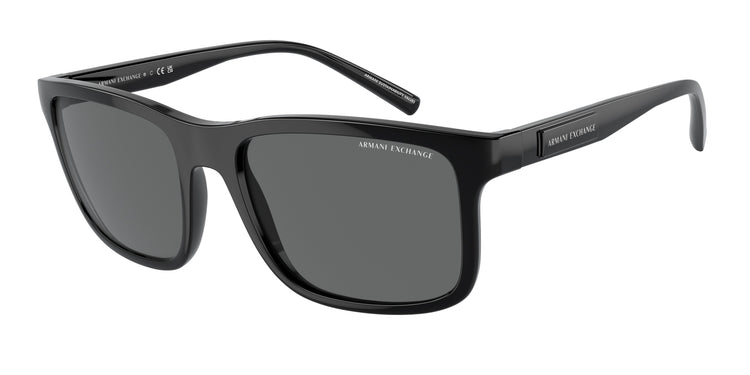 815887 - Shiny Black / Dark Grey