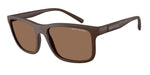 841273 - Matte Brown / Dark Brown
