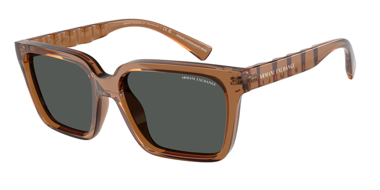 835887 - Shiny Transparent Brown / Dark Grey