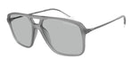 836387 - Opalescent Grey / Light Grey