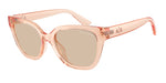 839593 - Transparent Peach / Light Brown