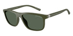 830171 - Matte Green / Dark Green