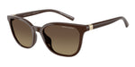 8402T5 - Shiny Dark Brown / Yellow/Brown