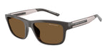 840573 - Shiny Brown / Brown