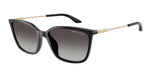 81588G - Shiny Black / Grey Gradient