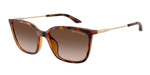 821313 - Shiny Havana / Brown Gradient