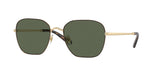 102671 - Light Gold/Dark Tortoise / Solid Dark Green