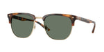 61613H - Warm Tortoise / Green