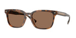 616173 - Warm Tortoise / Solid Brown