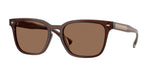 617273 - Bordeaux Transparent / Solid Brown