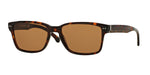 501673 - Tortoise / Brown