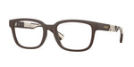 4234 - Matte Brown / Demo Lens