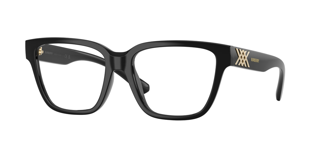 3001 - Black / Demo Lens