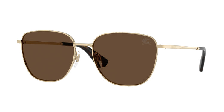 110973 - Light Gold / Dark Brown