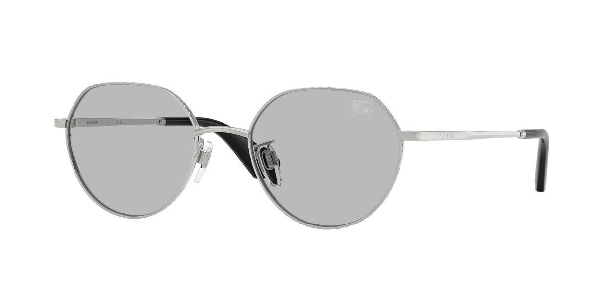 100587 - Silver / Light Grey