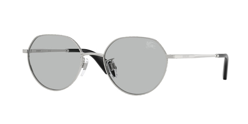 100587 - Silver / Light Grey