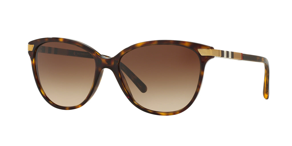 300213 - Dark Havana / Brown Gradient