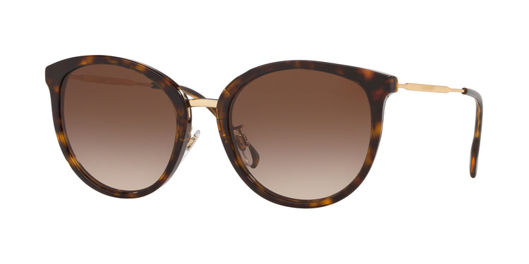300213 - Dark Havana / Brown Gradient
