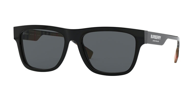 377381 - Black / Polarized Grey