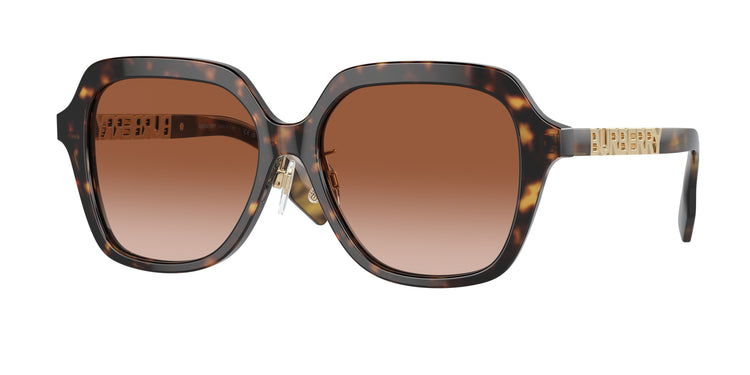 300213 - Dark Havana / Brown Gradient