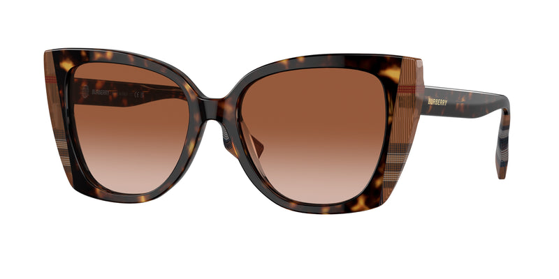 405313 - Dark Havana/Check Brown / Brown Gradient