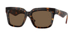 300273 - Dark Havana / Dark Brown