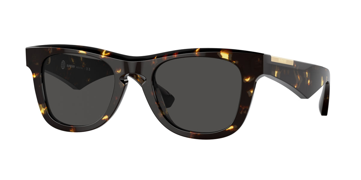410687 - Dark Havana / Dark Grey