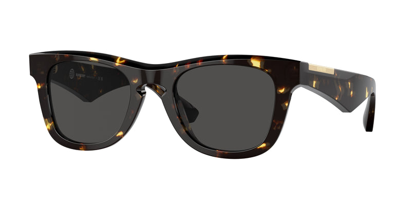 410687 - Dark Havana / Dark Grey