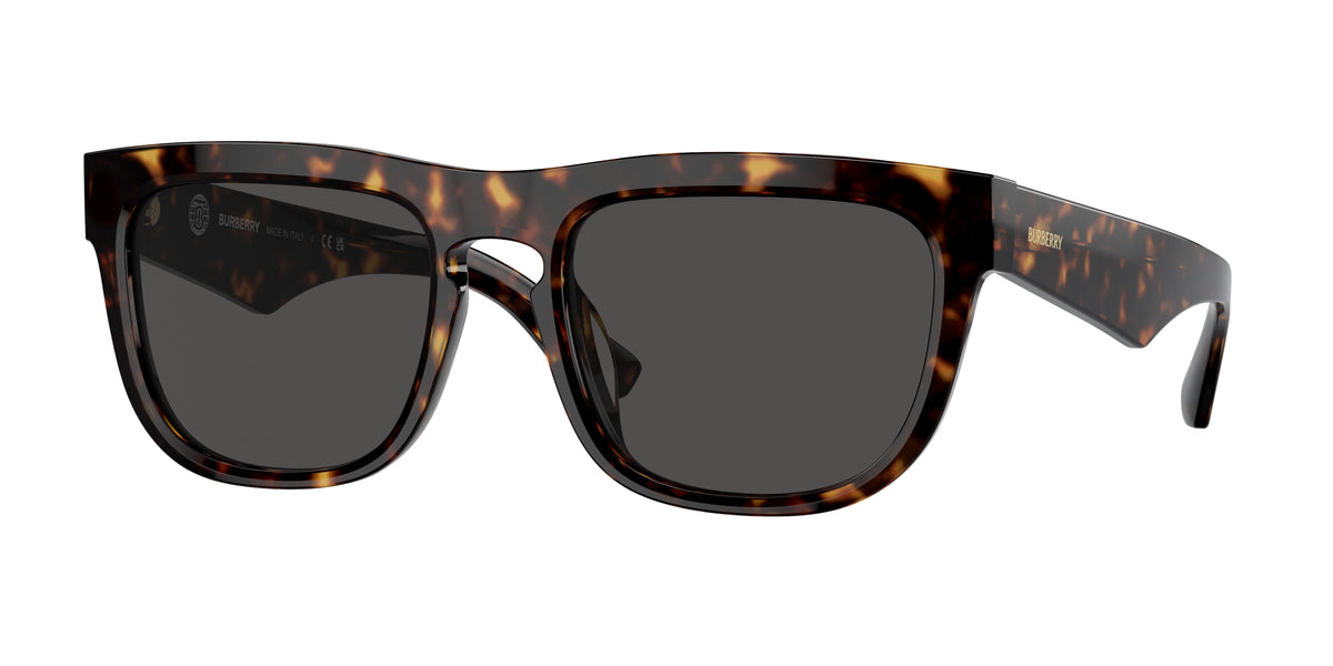 300287 - Dark Havana / Dark Grey