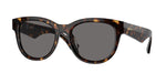 300281 - Dark Havana / Dark Grey Polarized