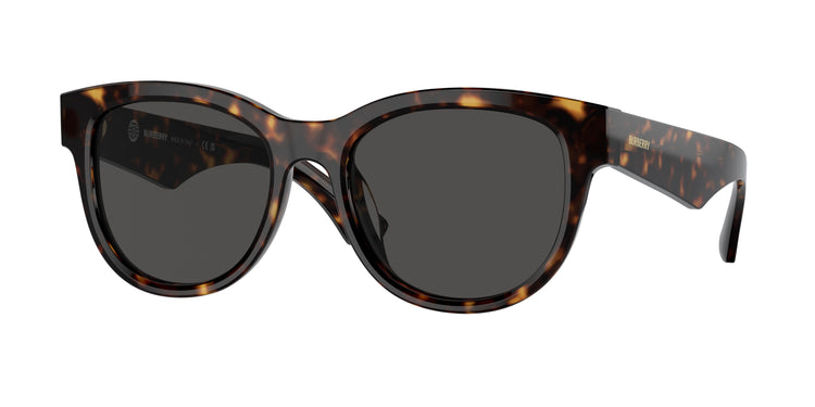 300287 - Dark Havana / Dark Grey
