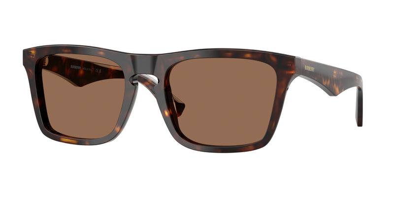 300273 - Dark Havana / Dark Brown