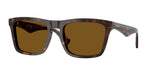 300283 - Dark Havana / Dark Brown Polar